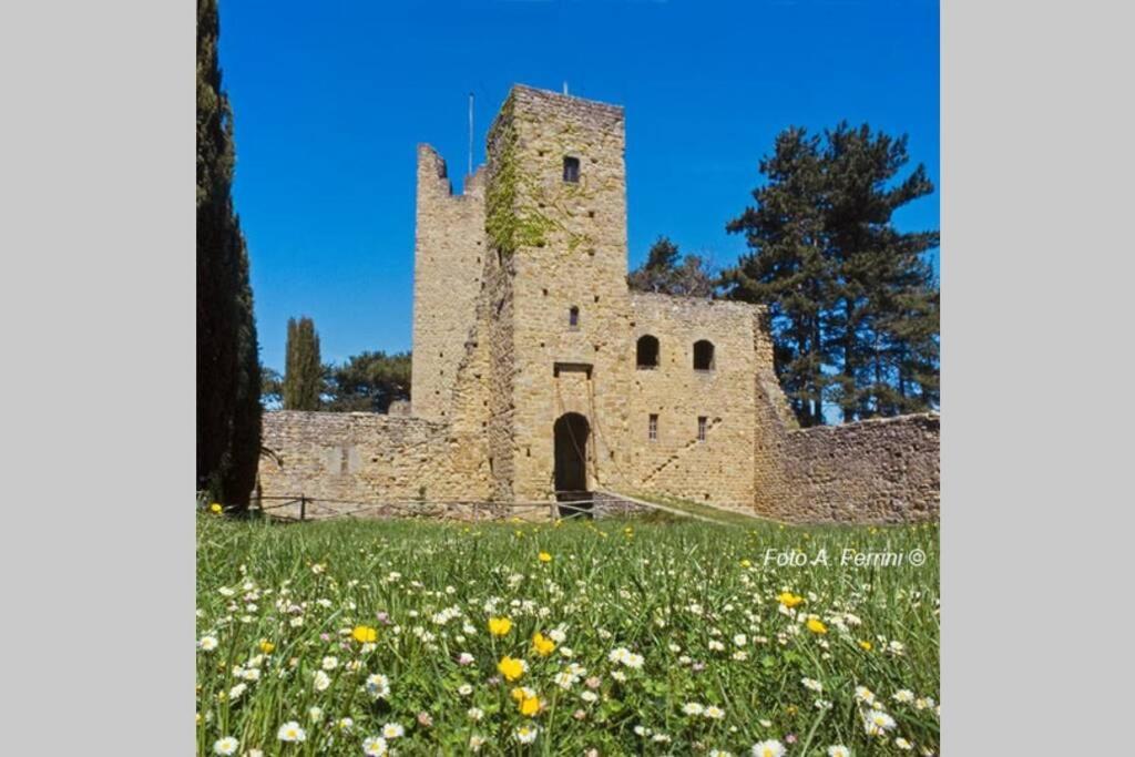 Villa Liz Tuscany, Private Pool, Hot Tub, Property Fenced, Pets Allowed Поппи Экстерьер фото