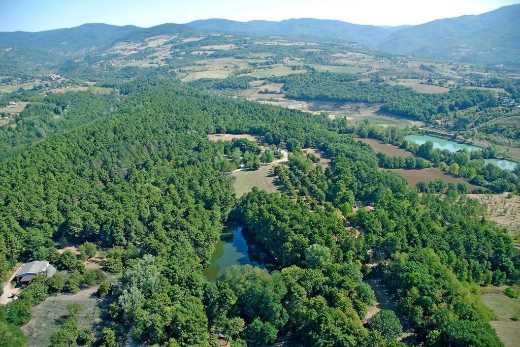 Villa Liz Tuscany, Private Pool, Hot Tub, Property Fenced, Pets Allowed Поппи Экстерьер фото